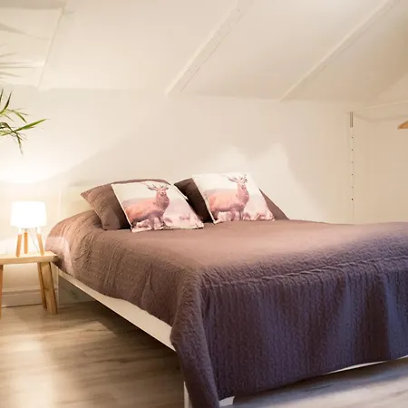 Kinski - Afra Group Sopot