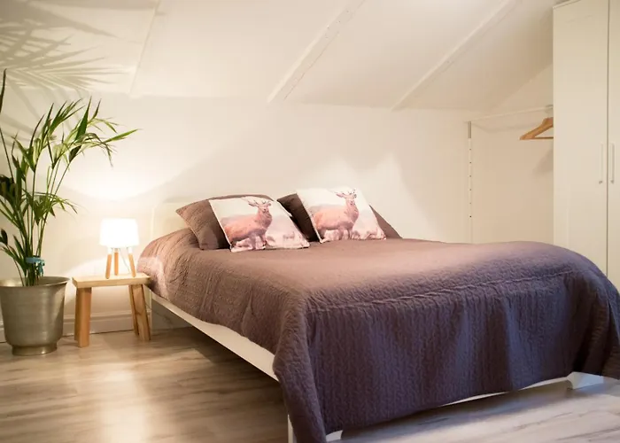 Kinski - Afra Group Sopot